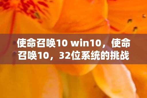 使命召唤10 win10，使命召唤10，32位系统的挑战与回忆