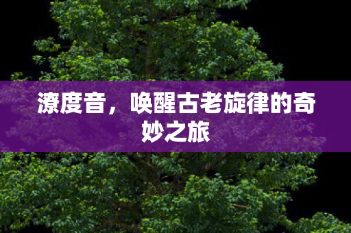 潦度音，唤醒古老旋律的奇妙之旅