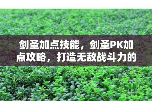 剑圣加点技能，剑圣PK加点攻略，打造无敌战斗力的关键