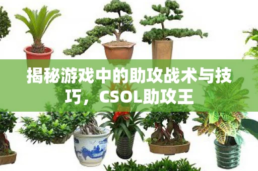 揭秘游戏中的助攻战术与技巧图片