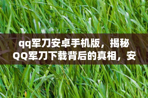 qq军刀安卓手机版，揭秘QQ军刀下载背后的真相，安全警钟长鸣