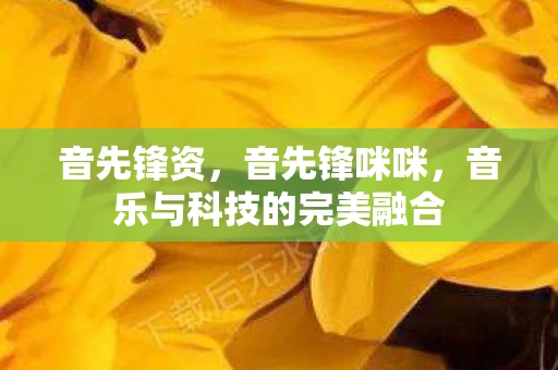音先锋资，音先锋咪咪，音乐与科技的完美融合
