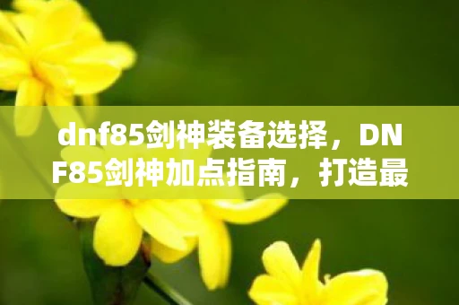 dnf85剑神装备选择，DNF85剑神加点指南，打造最强剑神，征服阿拉德大陆