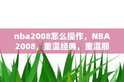 nba2008怎么操作，NBA2008，重温经典，重温那些年的热血与激情
