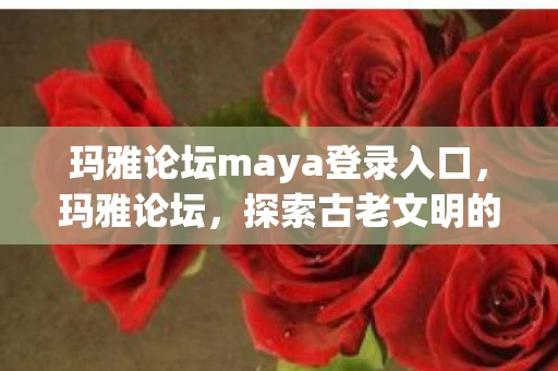 玛雅论坛maya登录入口，玛雅论坛，探索古老文明的智慧与未来