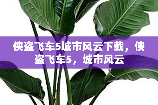 侠盗飞车5城市风云下载，侠盗飞车5，城市风云
