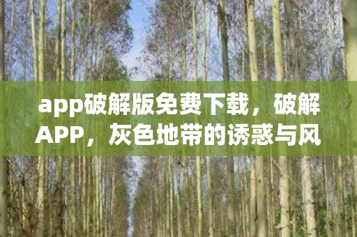 app破解版免费下载，破解APP，灰色地带的诱惑与风险