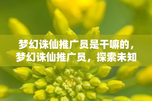 梦幻诛仙推广员是干嘛的，梦幻诛仙推广员，探索未知，开启你的仙侠之旅