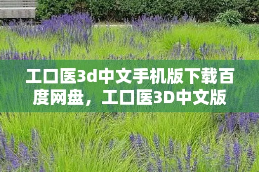 工口医3d中文手机版下载百度网盘，工口医3D中文版，医疗领域的创新突破