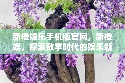 新橙娱乐手机版官网，新橙娱，探索数字时代的娱乐新生态