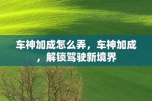 车神加成怎么弄，车神加成，解锁驾驶新境界