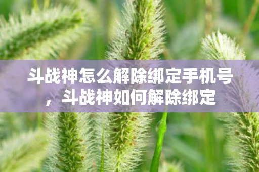 斗战神怎么解除绑定手机号，斗战神如何解除绑定