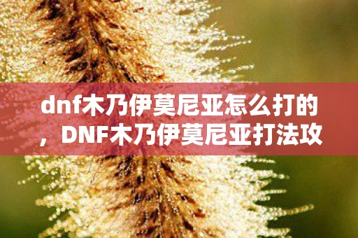 dnf木乃伊莫尼亚怎么打的，DNF木乃伊莫尼亚打法攻略