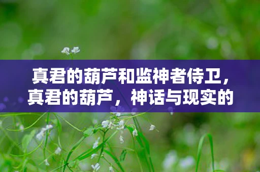 真君的葫芦和监神者侍卫，真君的葫芦，神话与现实的交织