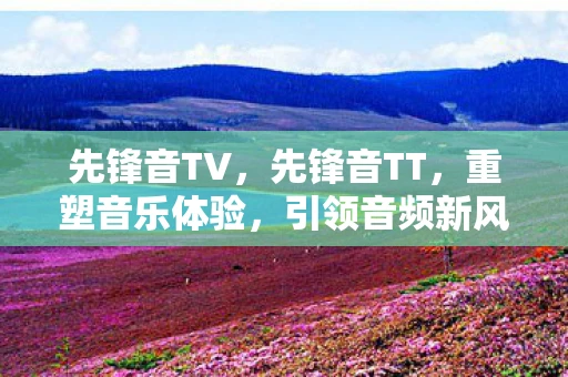 先锋音TV，先锋音TT，重塑音乐体验，引领音频新风尚