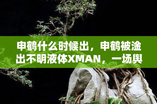 申鹤什么时候出，申鹤被淦出不明液体XMAN，一场舆论的狂欢与反思