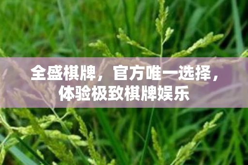 体验极致棋牌娱乐图片