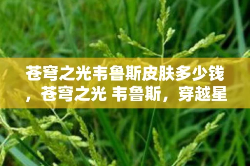 苍穹之光韦鲁斯皮肤多少钱，苍穹之光 韦鲁斯，穿越星辰的箭术传奇