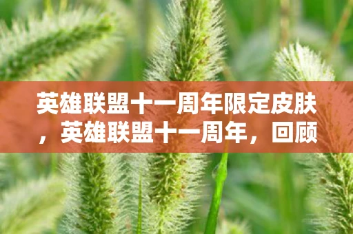 英雄联盟十一周年限定皮肤，英雄联盟十一周年，回顾与前瞻