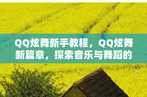 QQ炫舞新手教程，QQ炫舞新篇章，探索音乐与舞蹈的无限可能