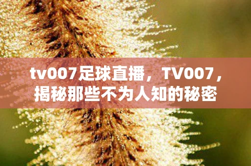 tv007足球直播，TV007，揭秘那些不为人知的秘密