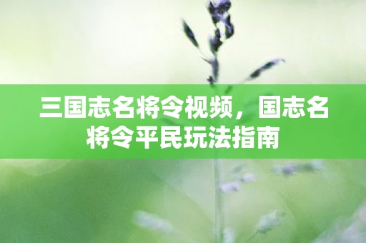 三国志名将令视频，国志名将令平民玩法指南