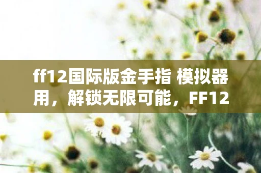 ff12国际版金手指 模拟器用，解锁无限可能，FF12国际版金手指全解析