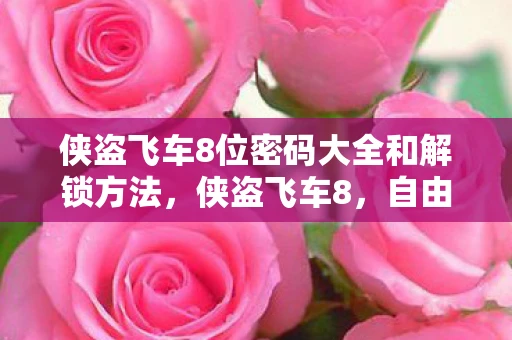 侠盗飞车8位密码大全和解锁方法，侠盗飞车8，自由与罪恶的终极冒险