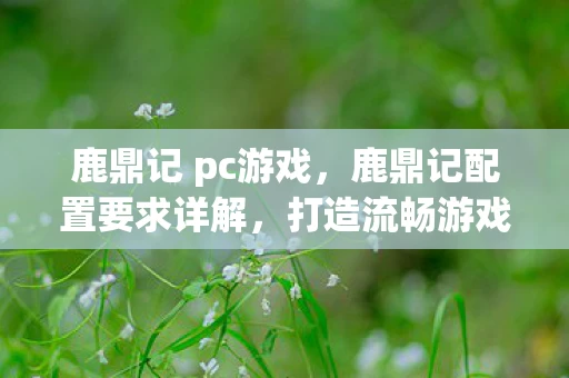 鹿鼎记 pc游戏，鹿鼎记配置要求详解，打造流畅游戏体验
