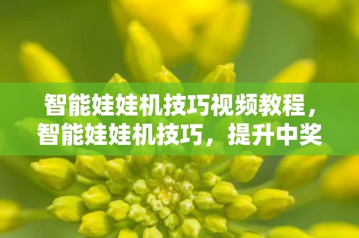 智能娃娃机技巧视频教程，智能娃娃机技巧，提升中奖率与游戏体验的秘诀
