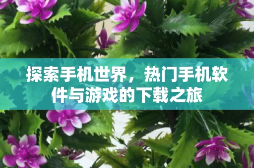 热门手机软件与游戏的下载之旅图片