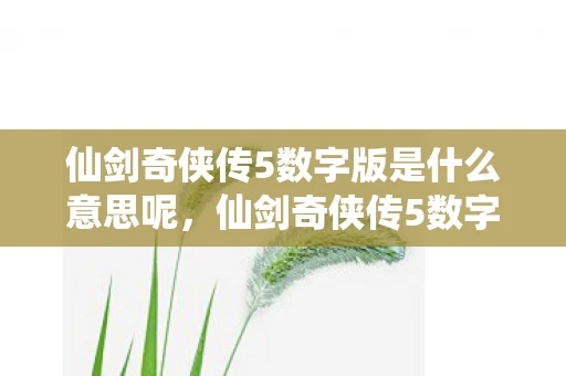 仙剑奇侠传5数字版是什么意思呢，仙剑奇侠传5数字版，经典重制的数字时代新体验