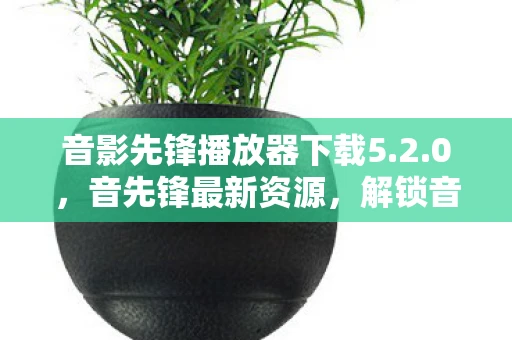 音影先锋播放器下载5.2.0，音先锋最新资源，解锁音乐世界的无限可能