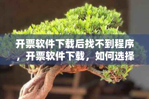 开票软件下载后找不到程序，开票软件下载，如何选择和使用？