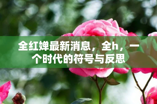全红婵最新消息，全h，一个时代的符号与反思