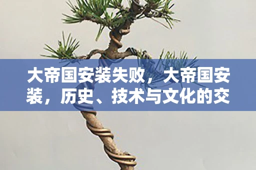 大帝国安装失败，大帝国安装，历史、技术与文化的交汇