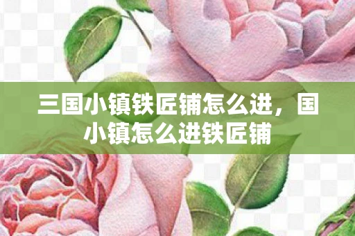 三国小镇铁匠铺怎么进，国小镇怎么进铁匠铺