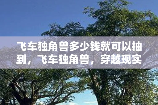 飞车独角兽多少钱就可以抽到，飞车独角兽，穿越现实与幻想的奇妙之旅