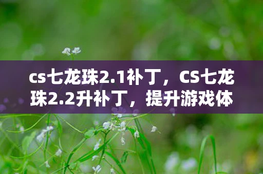 cs七龙珠2.1补丁，CS七龙珠2.2升补丁，提升游戏体验的必备神器