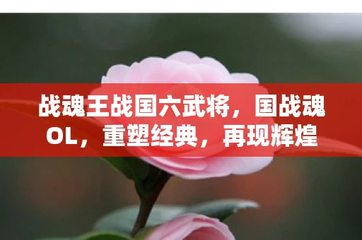 战魂王战国六武将，国战魂OL，重塑经典，再现辉煌