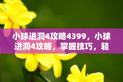 小球进洞4攻略4399，小球进洞4攻略，掌握技巧，轻松通关