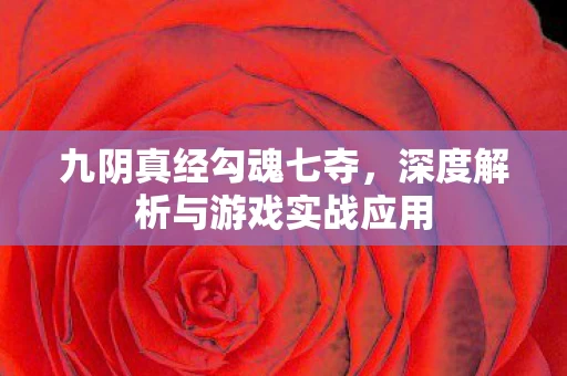 深度解析与游戏实战应用图片