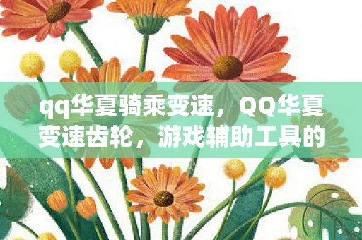 qq华夏骑乘变速，QQ华夏变速齿轮，游戏辅助工具的风险与合规性探讨