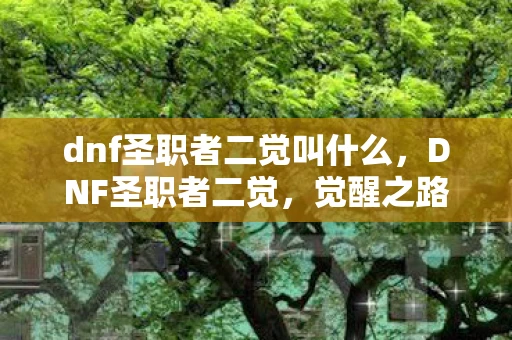 dnf圣职者二觉叫什么，DNF圣职者二觉，觉醒之路与职业特色解析