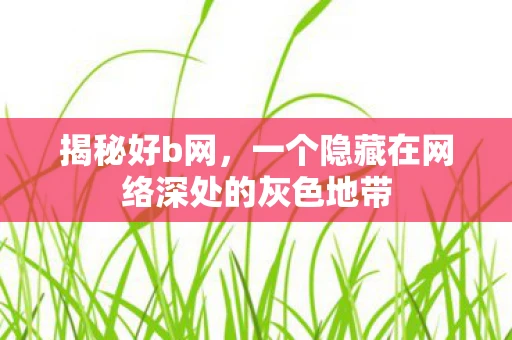 揭秘好b网，一个隐藏在网络深处的灰色地带