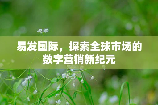 易发国际，探索全球市场的数字营销新纪元