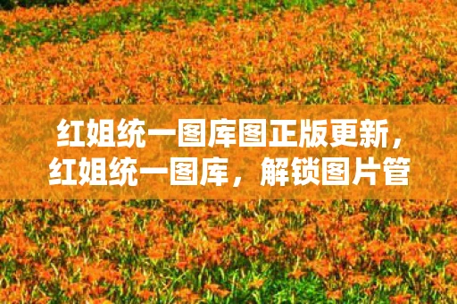 红姐统一图库图正版更新，红姐统一图库，解锁图片管理新境界
