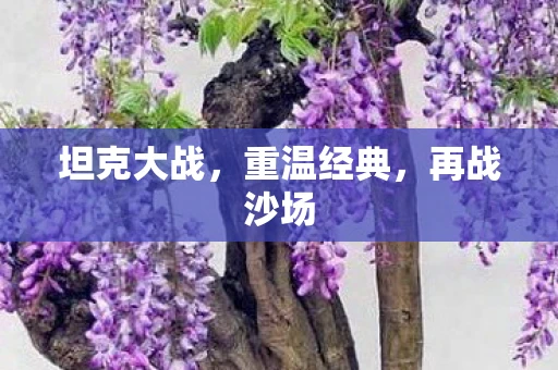 坦克大战，重温经典，再战沙场