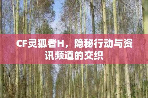 隐秘行动与资讯频道的交织图片