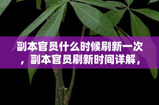 副本官员什么时候刷新一次，副本官员刷新时间详解，掌握游戏节奏的关键